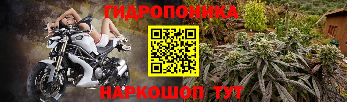 Шишки марихуана VHQ  Канабис индика  Вход с VPN  Тайшет 